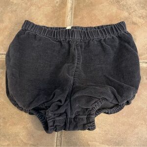 Little Cotton Clothes Kids Black Bloomers